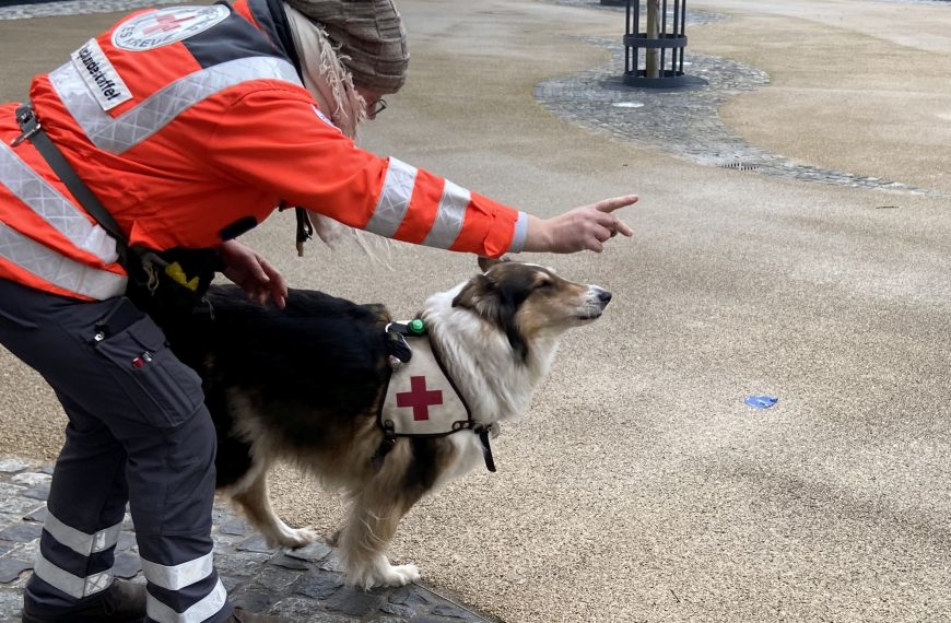 Rettungshund und Sanitäterin