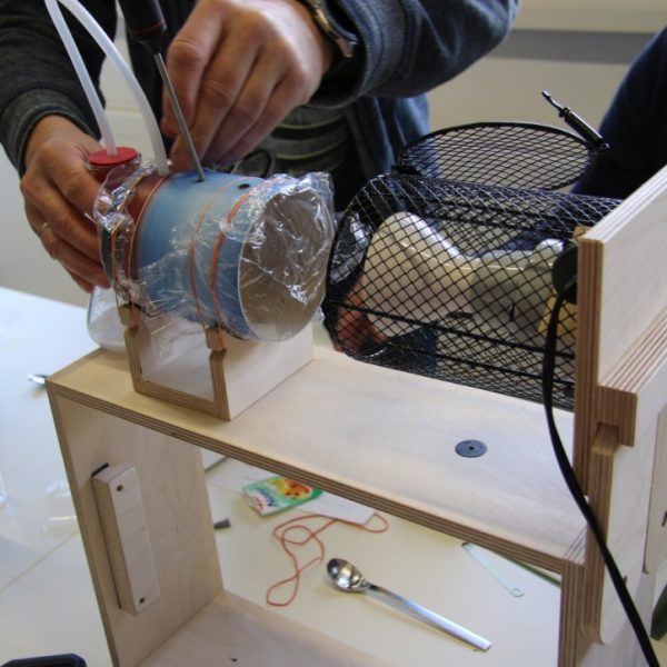 Mit dem Klima­koffer den Klima­wandel verstehen