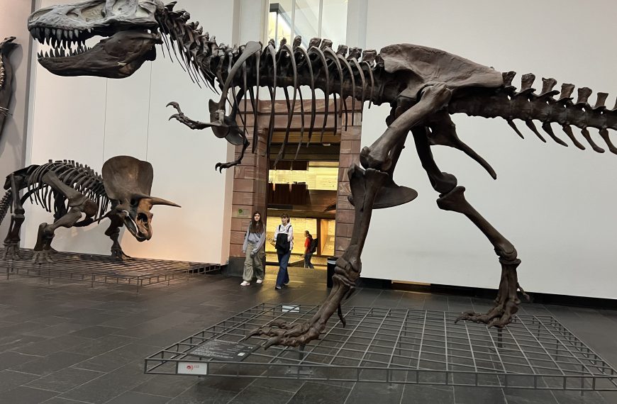 Besuch des Sencken­berg Museums in Frankfurt