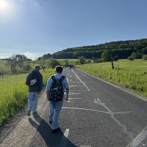 Wald erleben: Sechst­klässler auf Entdeckungstour