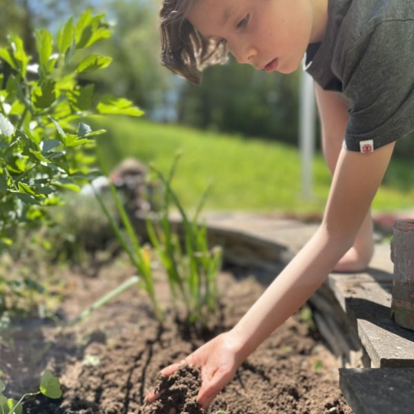 Gemein­sames Enga­ge­ment lässt den Schul­garten der RSB aufblühen