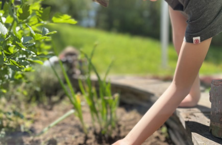 Gemein­sames Enga­ge­ment lässt den Schul­garten der RSB aufblühen