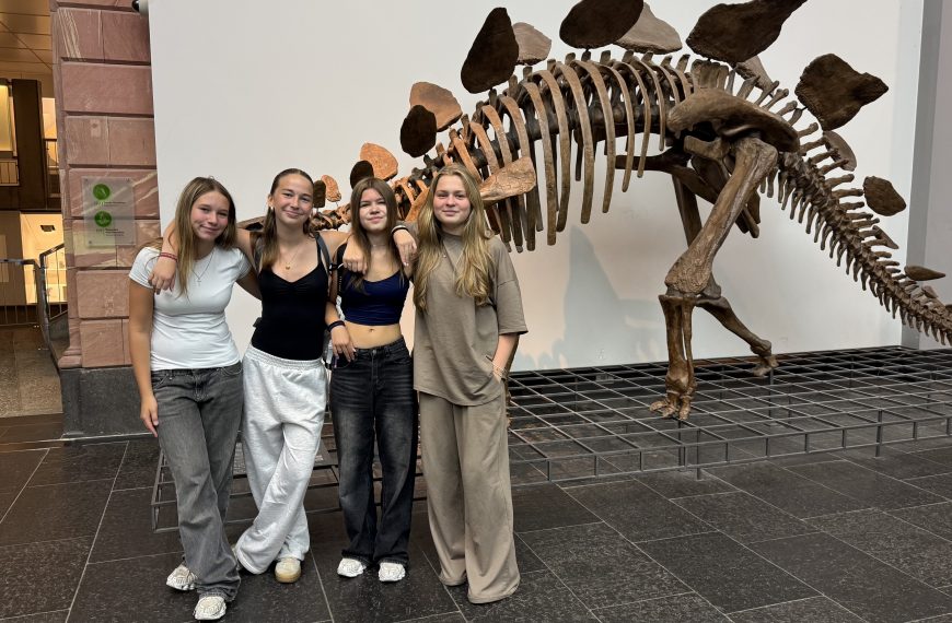 Evolu­tion zum Anfassen