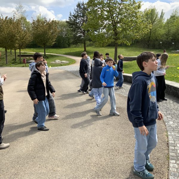 Käfer, Wanzen, Ameisen und Co — Umwelt­bil­dung an der Real­schule Bessenbach