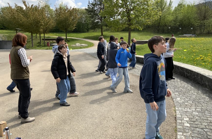 Käfer, Wanzen, Ameisen und Co — Umwelt­bil­dung an der Real­schule Bessenbach