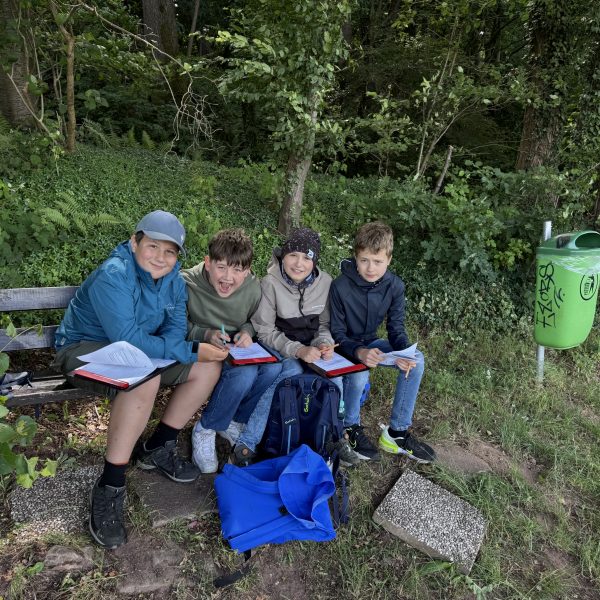 Waldtag der 6. Klassen an der&nbsp;RSB