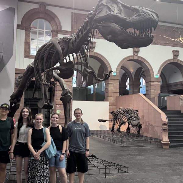 Trotz Hitze­welle: 8. Klässler besu­chen das Sencken­berg Museum