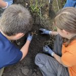 Mittel (IMG_9077)